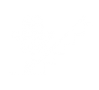 ngservices-monte-escalier-icon ngservices-monte-escalier-icon